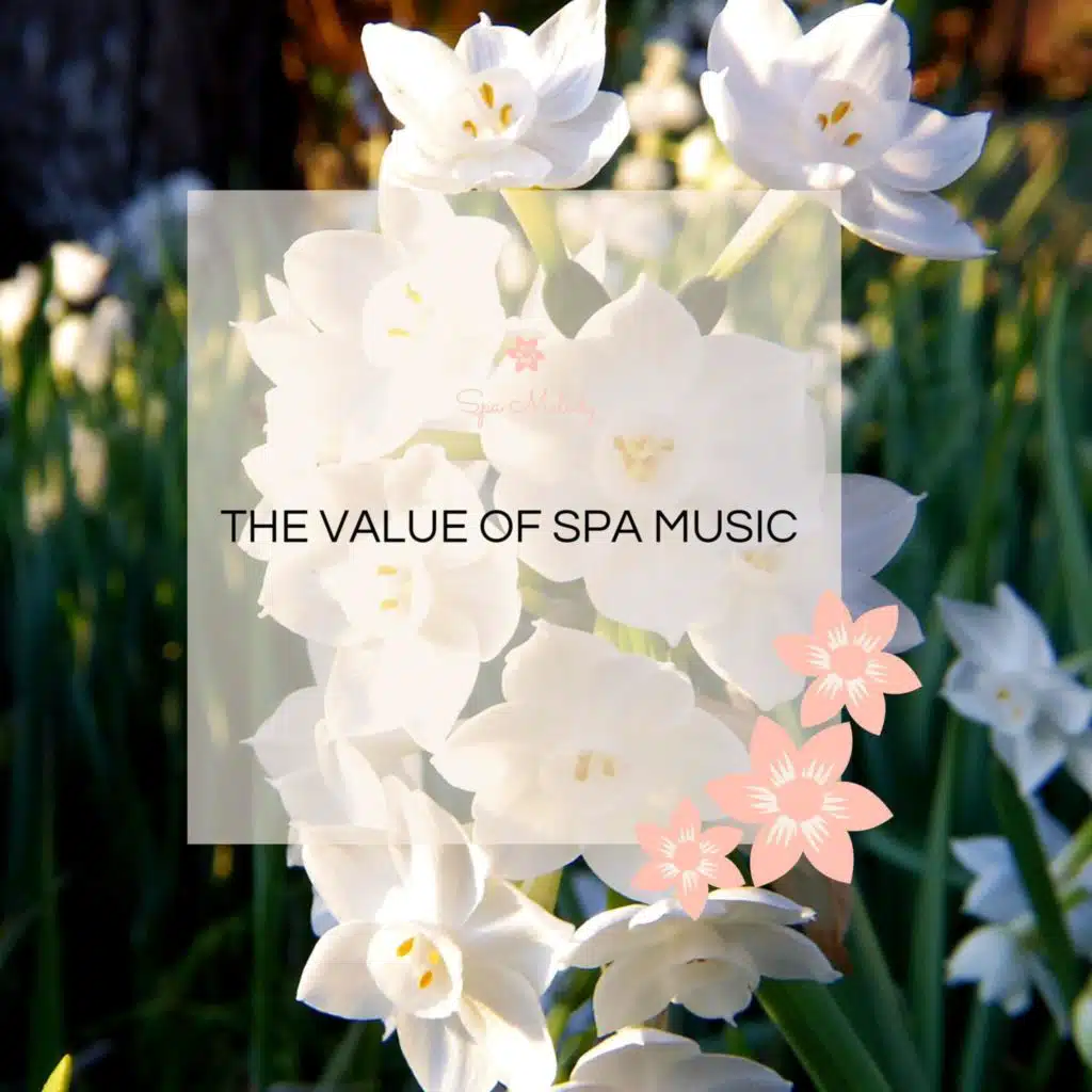 The Value Of Spa Music