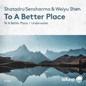 Shatadru Sensharma & Weiyu Shen