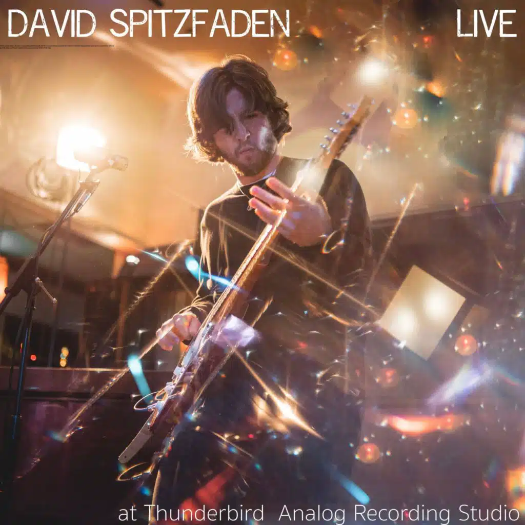 David Spitzfaden Live in Studio