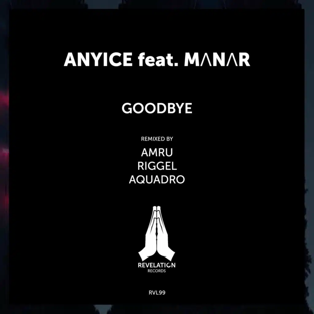 Goodbye (feat. MΛNΛR)