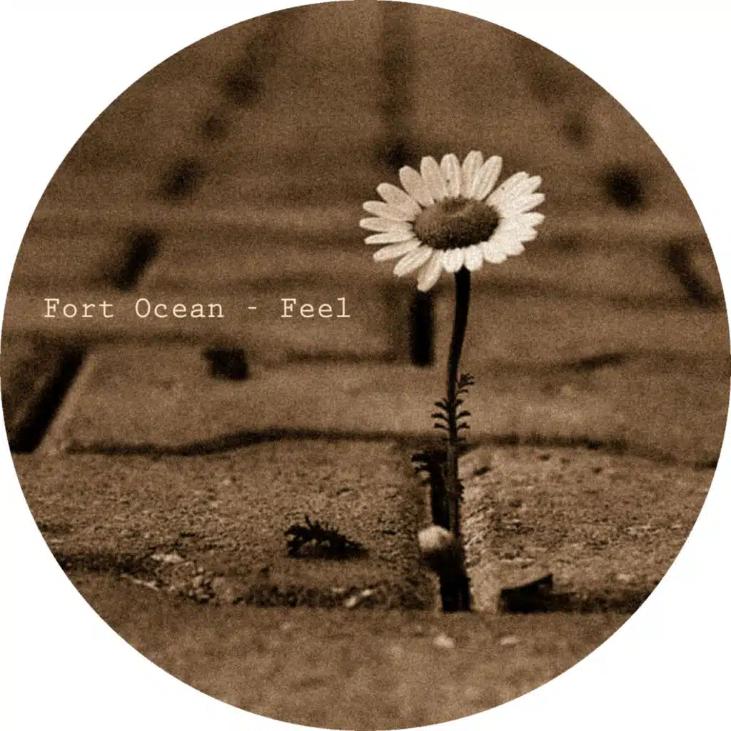 Fort Ocean