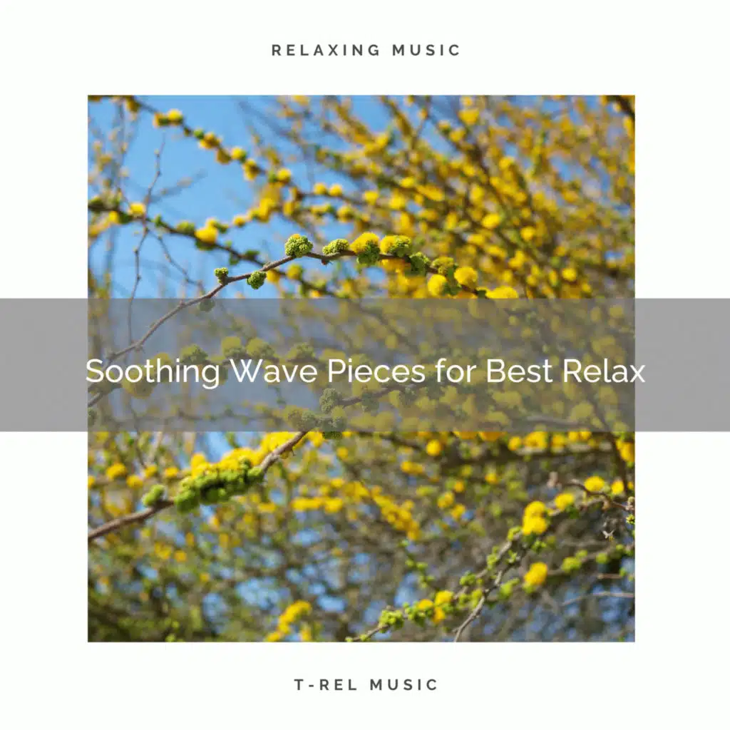 2020 Best: Soothing Wave Pieces for Best Relax