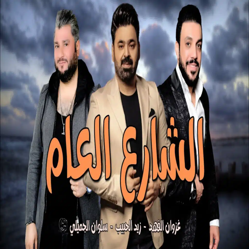 الشارع العام