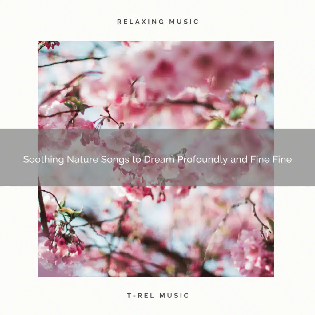 2020 Best: Soothing Nature Songs to Dream Profoundly and Fine Fine