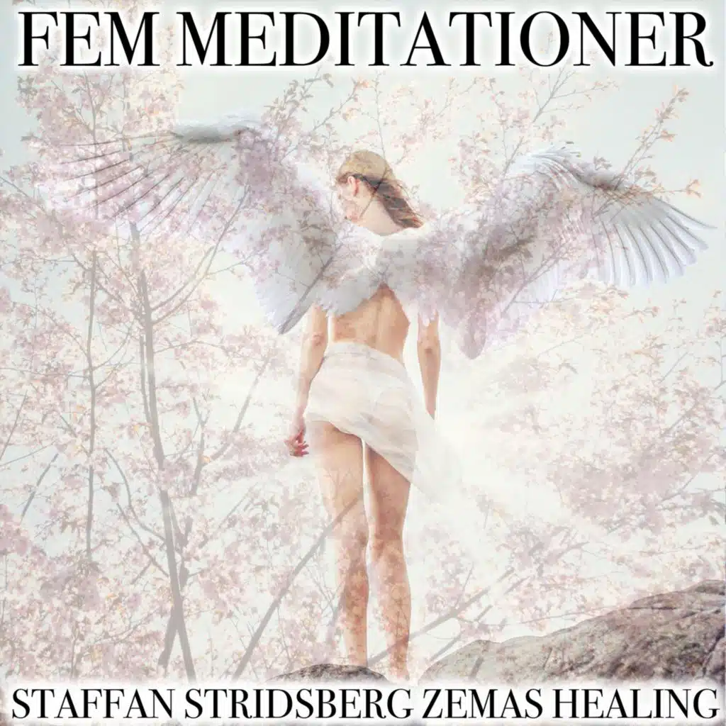 Fem Meditationer