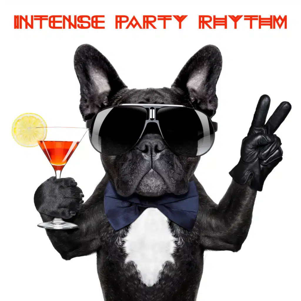Intense Party Rhythm – Compilation of Electronic Chillout Beats for All Night Craziness