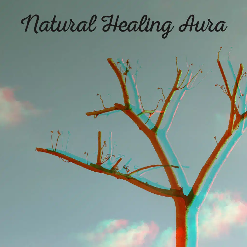 Healing Power Club & Therapeutic Music Zone