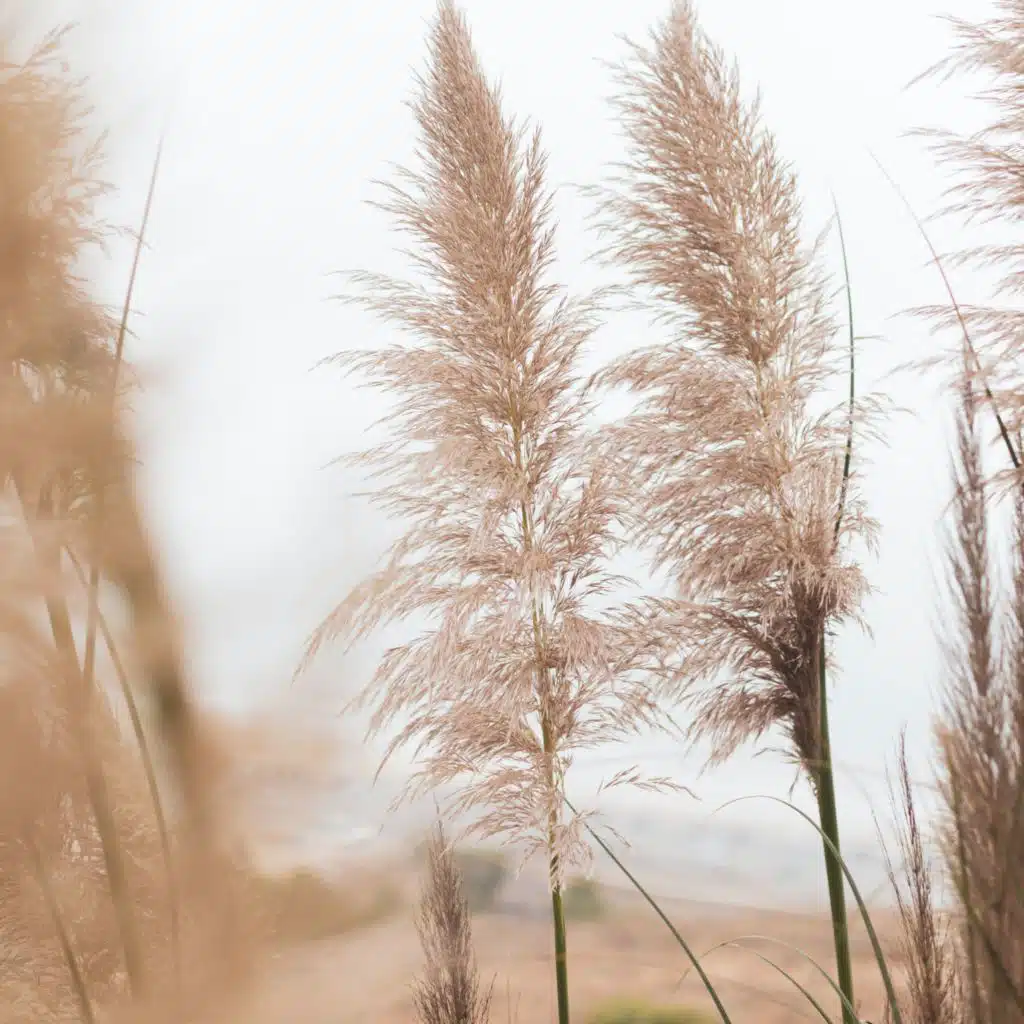 Sounds of Nature | Relaxation Music | Meditation | Spa Sounds