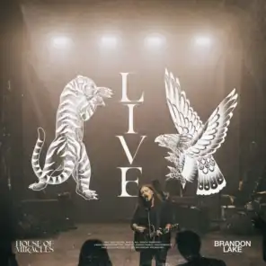Son Of Heaven (Live) [feat. Dante Bowe & Matt Maher]