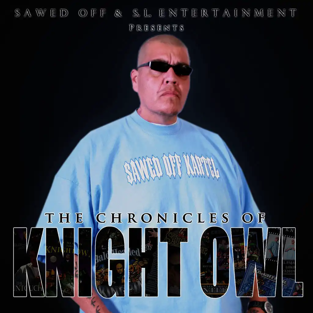 The Chronicles of Knight Owl