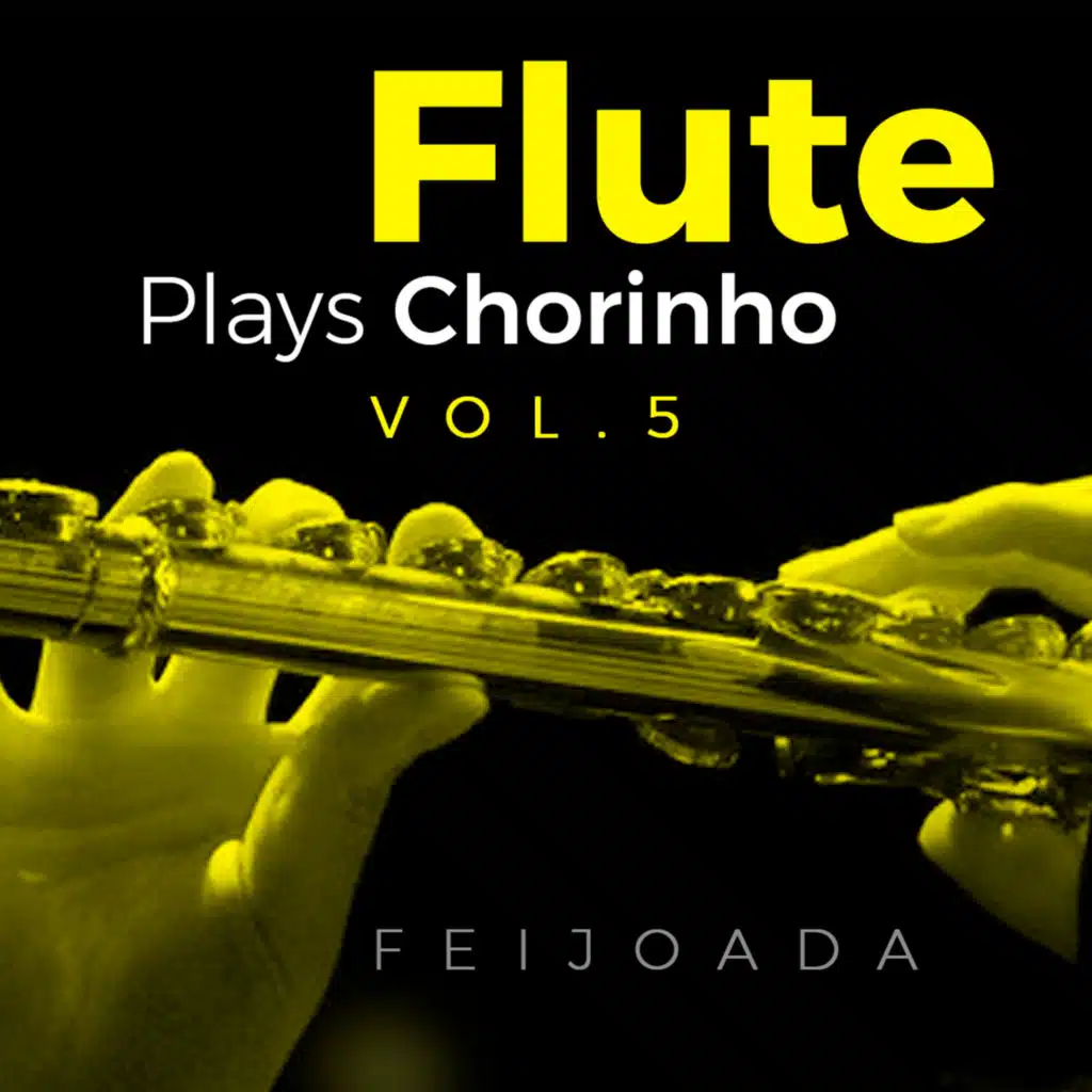 Flute Plays Chorinho, Vol. 5