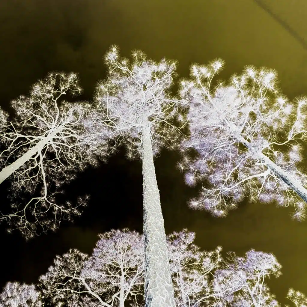 Internal Constellations