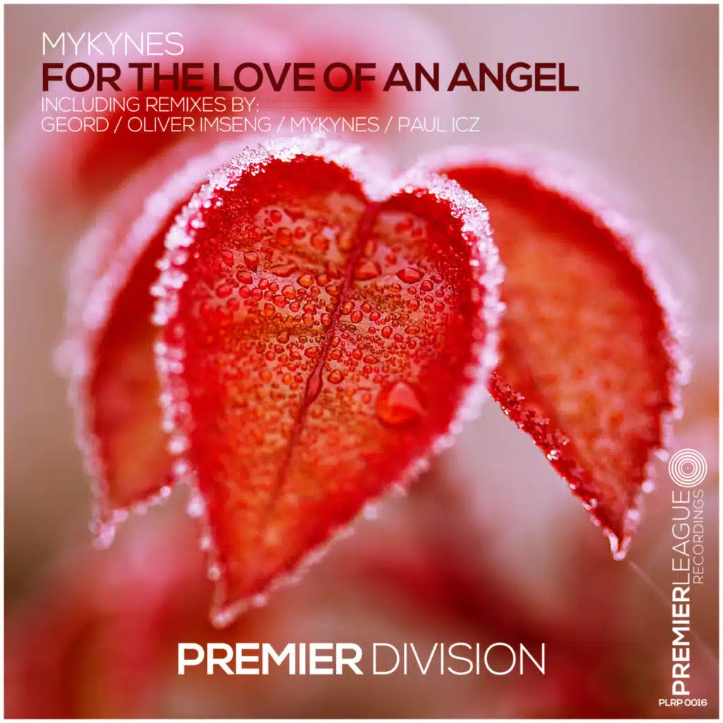 For the Love of an Angel (Paul ICZ Extended Remix)