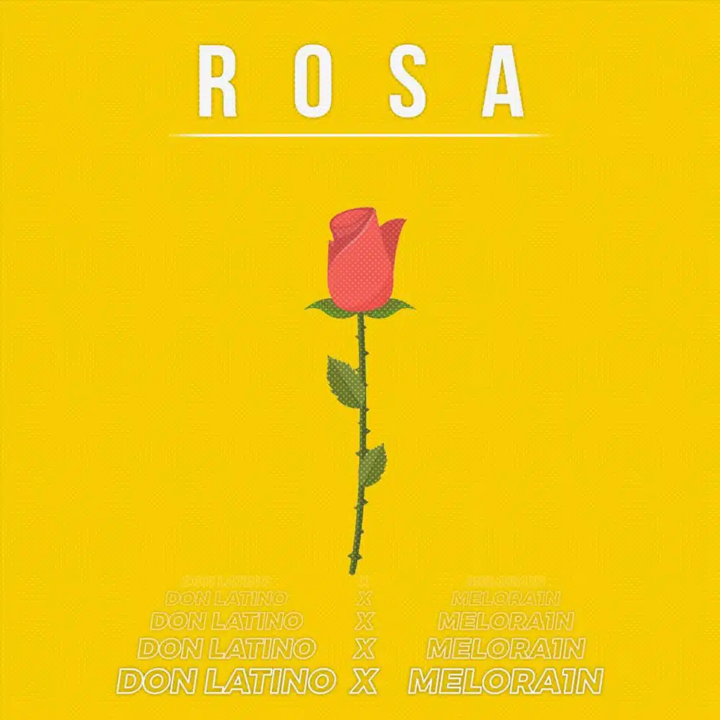 Rosa