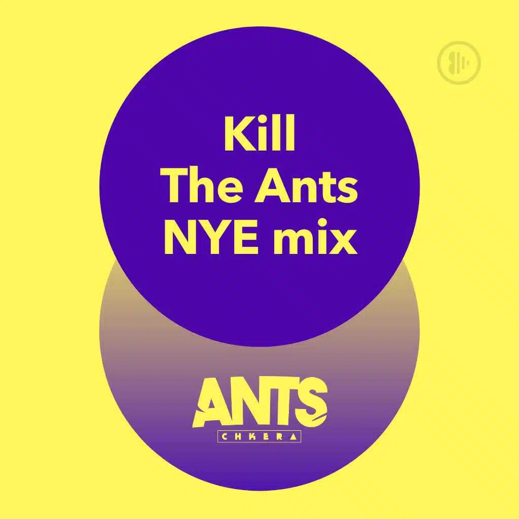 Kill The Ants NYE Mix