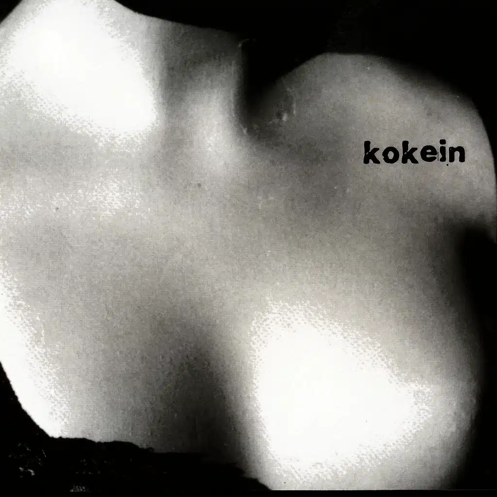 Kokein