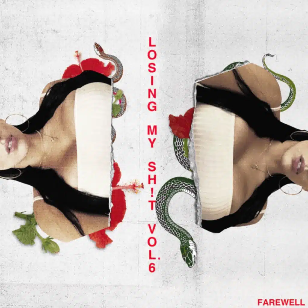 Losing My Sh!t, Vol. 6