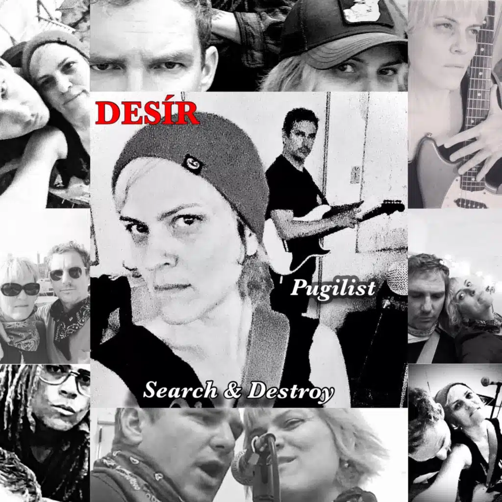 Pugilist Search & Destroy