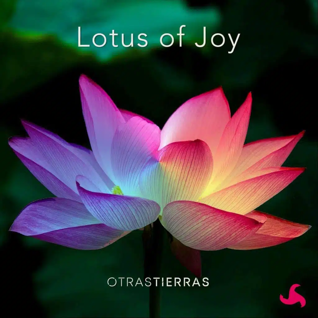 Lotus of Joy