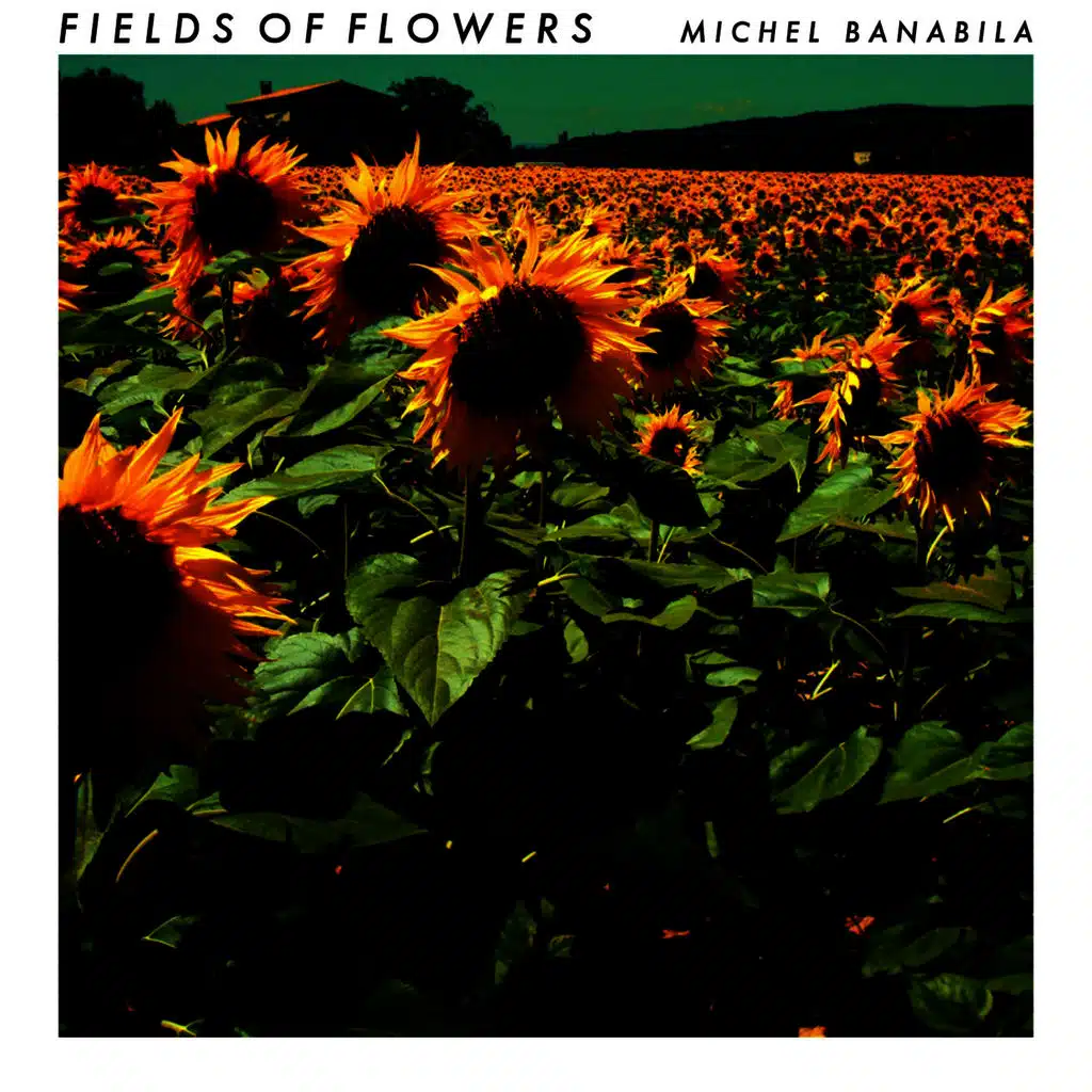 Fields Of Flowers