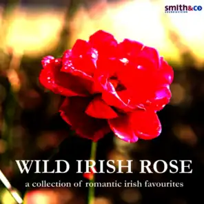 Wild Irish Rose - A Collection of Romantic Irish Favourites