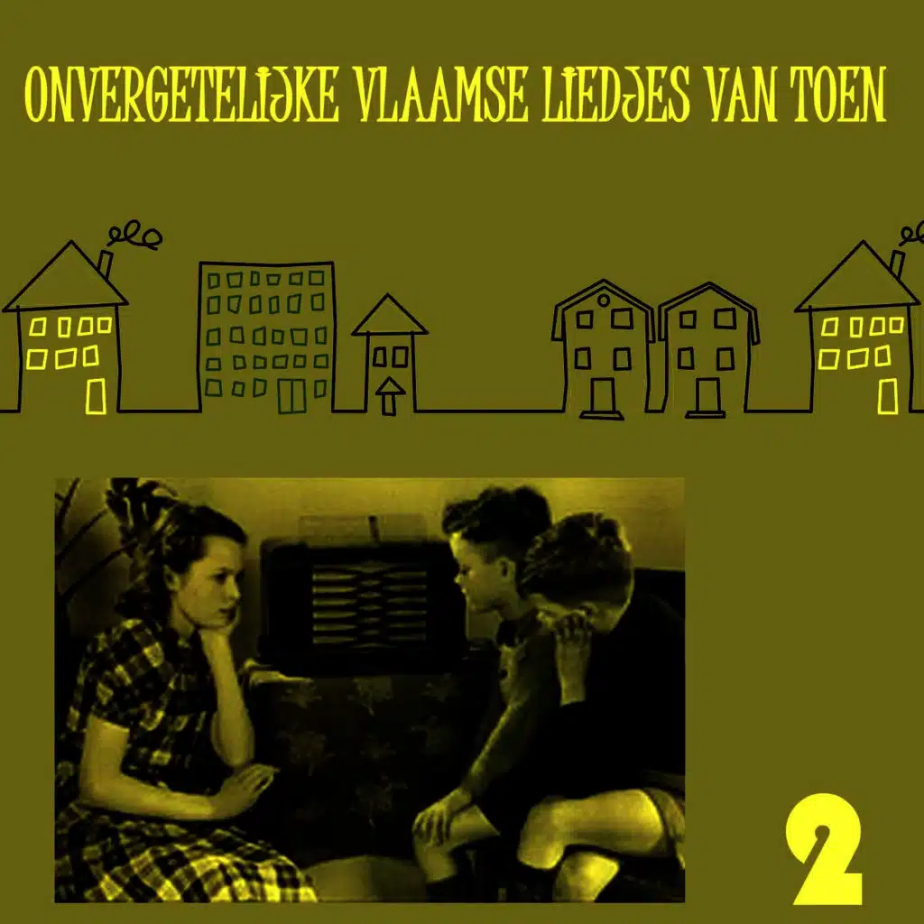 Onvergetelijke Vlaamse Liedjes van Toen, Volume 2