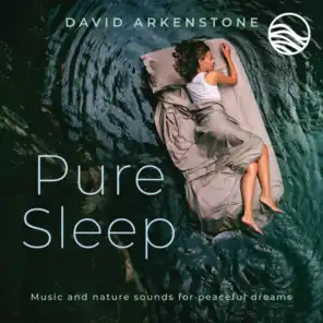 Pure Sleep: Music And Nature Sounds For Peaceful Dreams