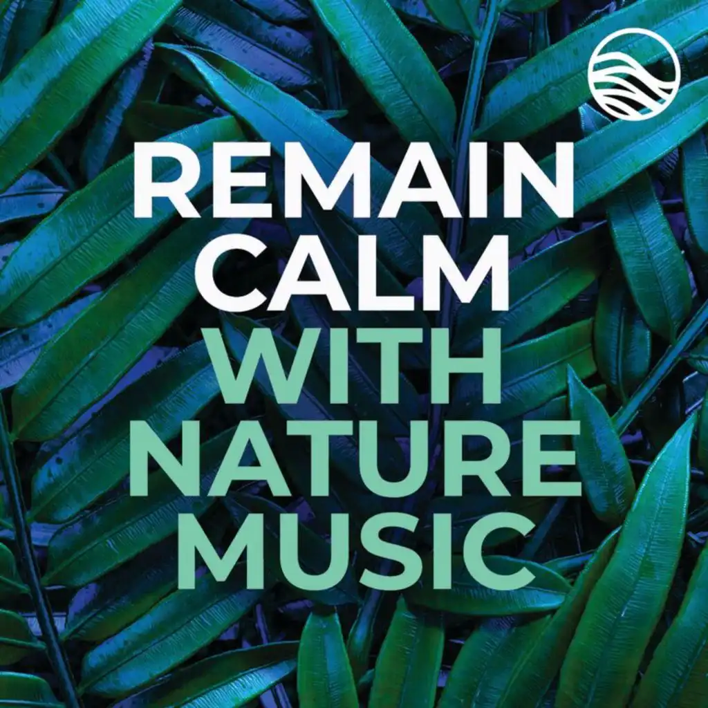 Remain Calm With Nature Music