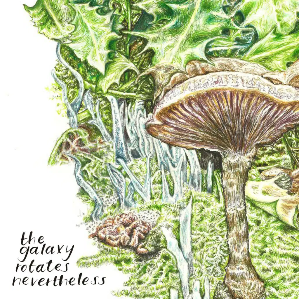 The Galaxy Rotates Nevertheless