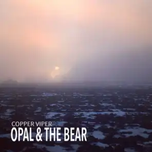 Opal & The Bear