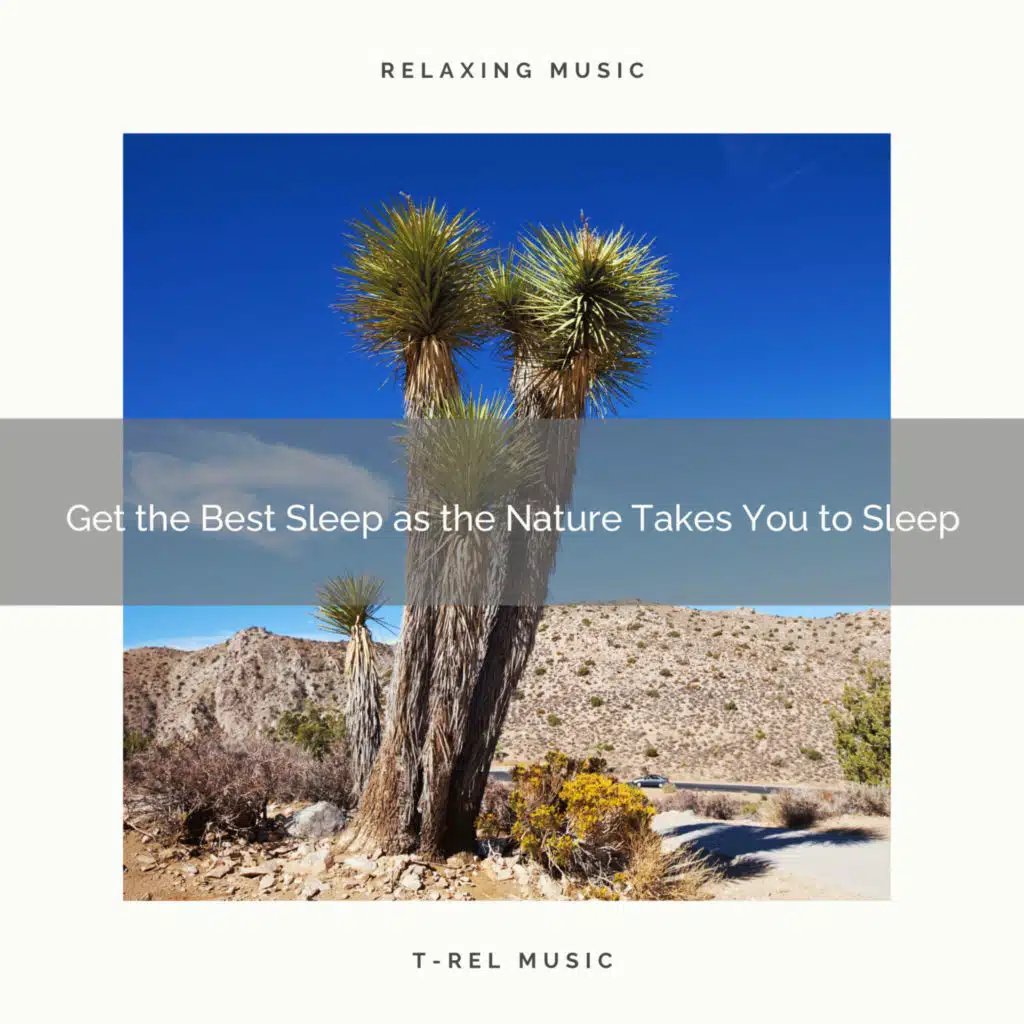 2020 Best: Get the Best Sleep as the Nature Takes You to Sleep