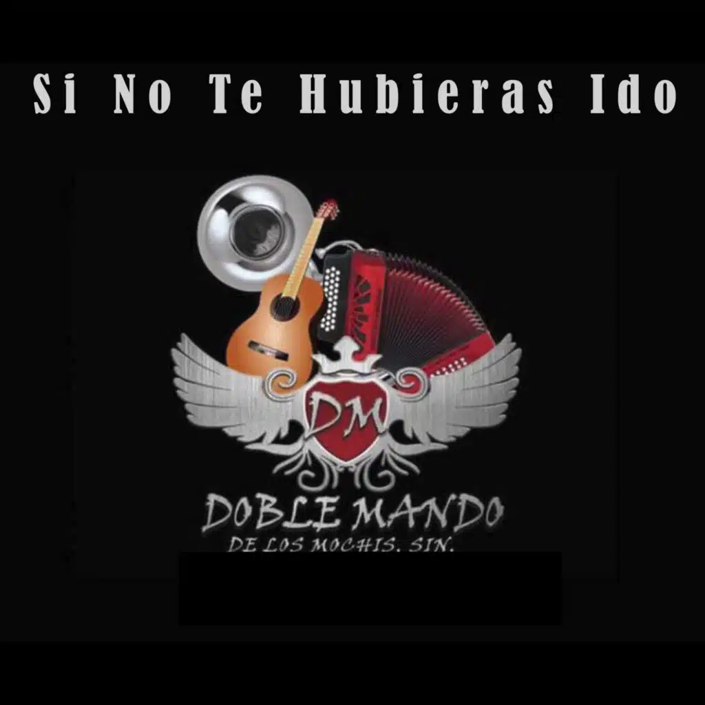 Si No Te Hubieras Ido (Cover)