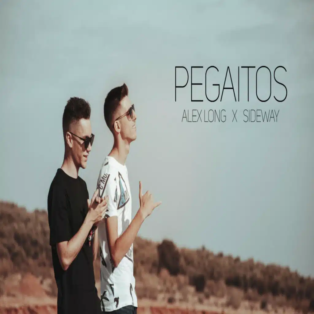 Pegaitos
