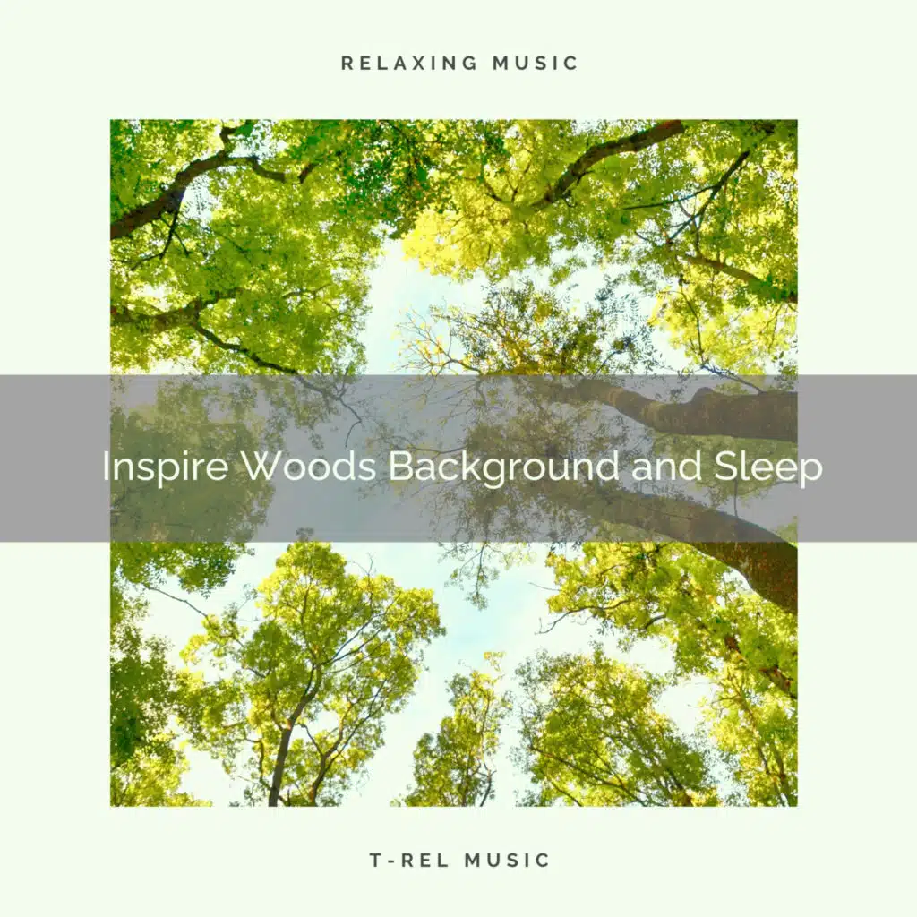 Natural Woodland Sounds & 101 Nature