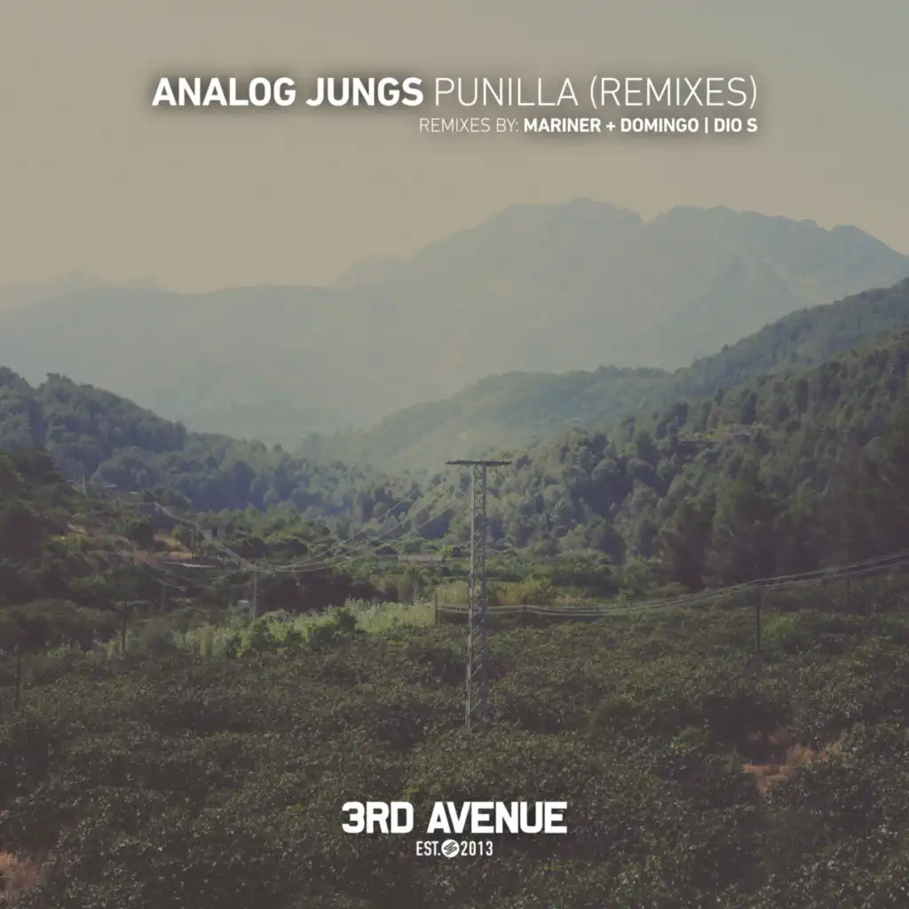 Punilla (Remixes) [feat. Dio S & Mariner + Domingo]