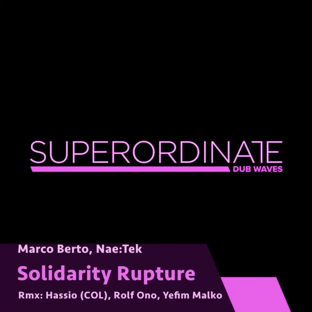 Solidarity (Hassio (COL) Rmx)