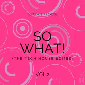 SO WHAT! (The Tech House Bombs), Vol. 2