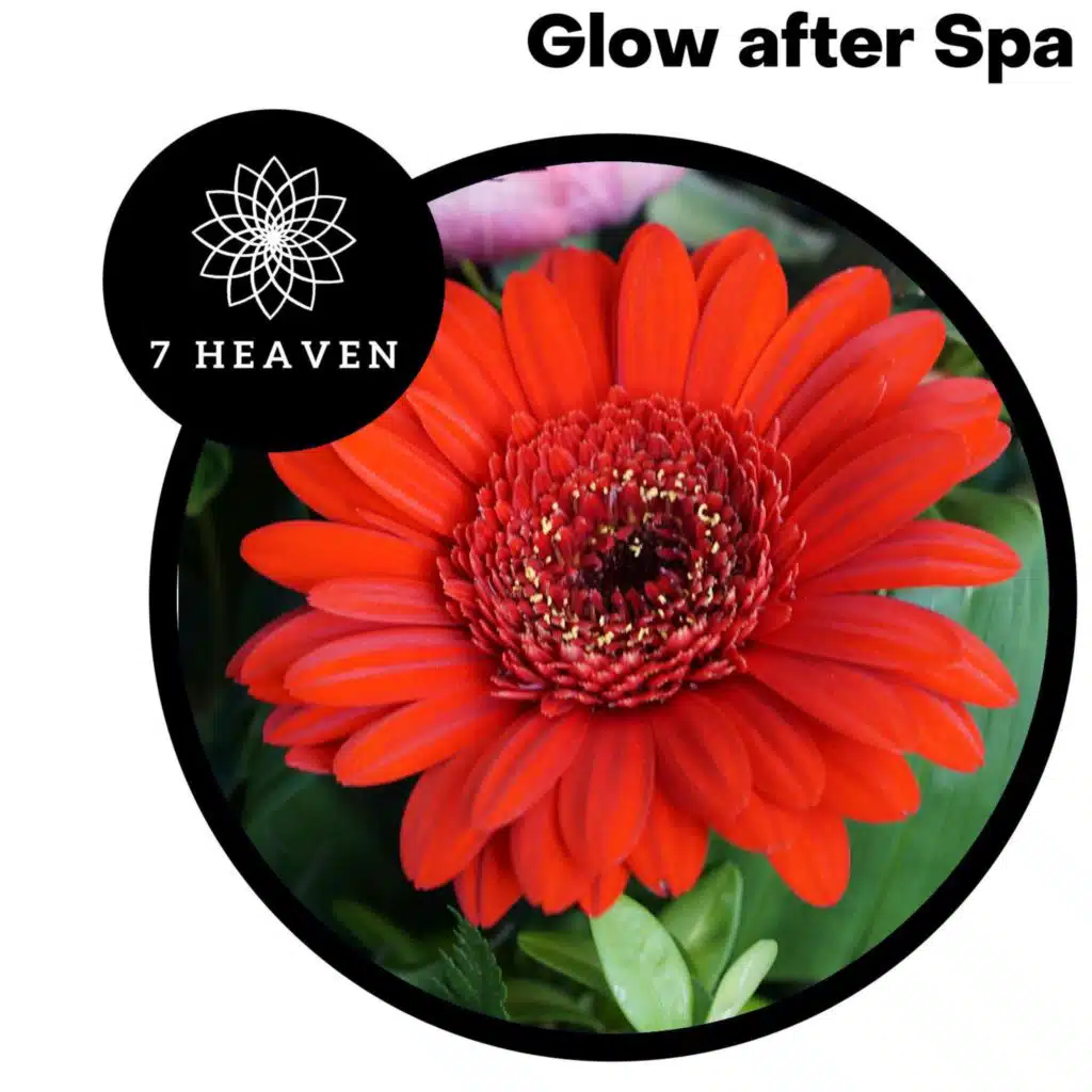 Major Mystery Piano (G Sharp Piano)