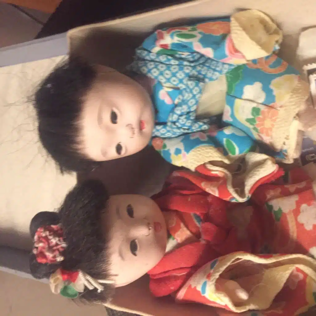 Gobi Twins United