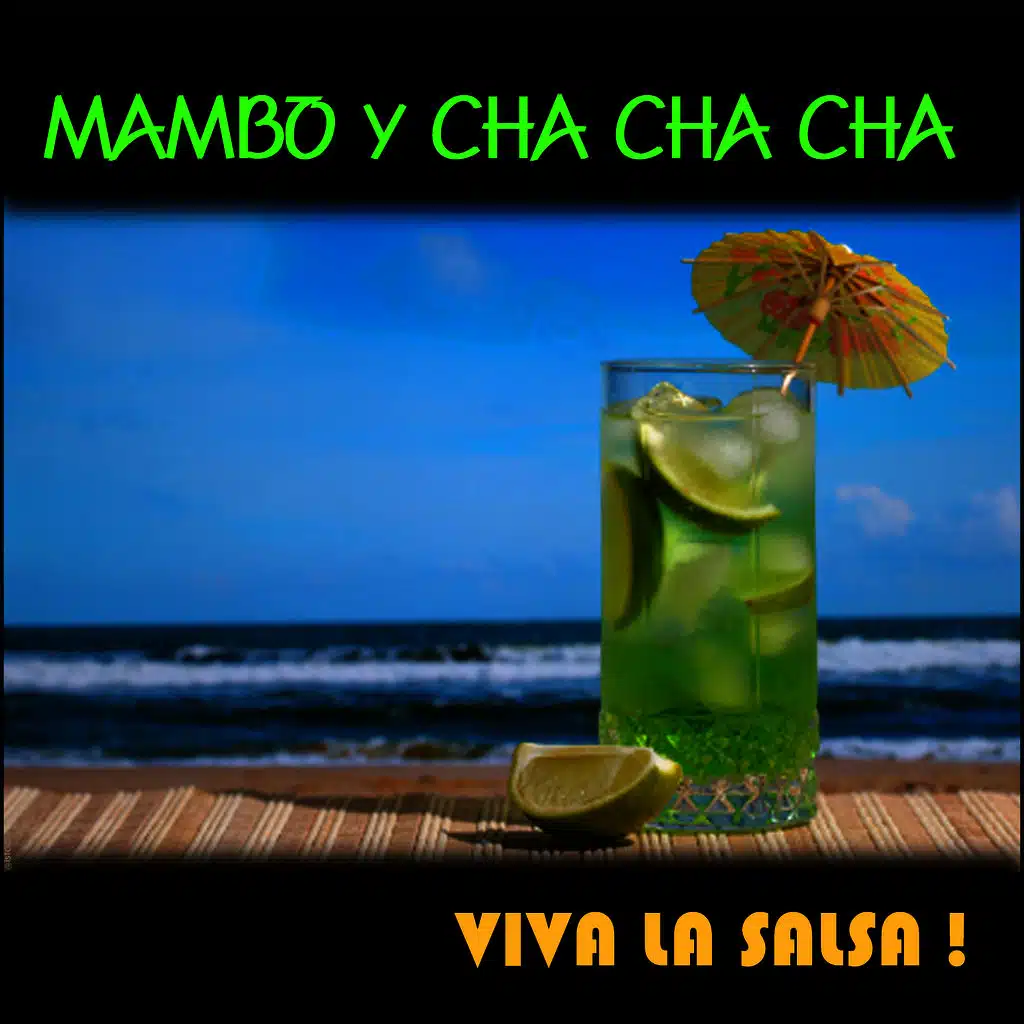 Mambo Y Cha Cha Cha, Viva La Salsa !