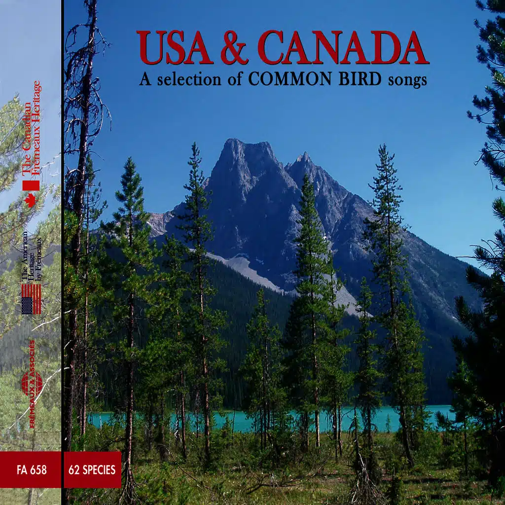 Usa & Canada, A Selection Of Common Bird Songs