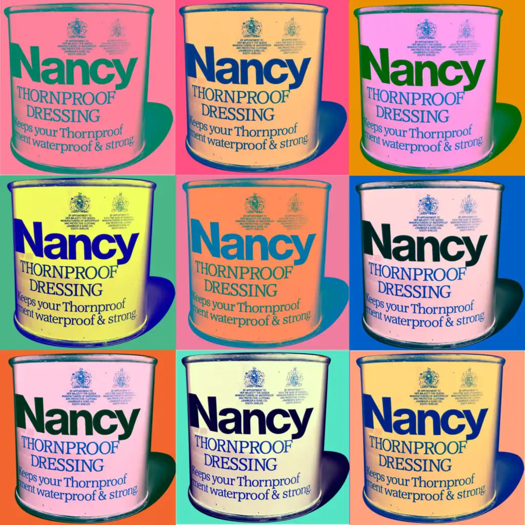 Nancy & The Mysterious Visions