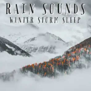 Rain Sounds Winter Storm Sleep