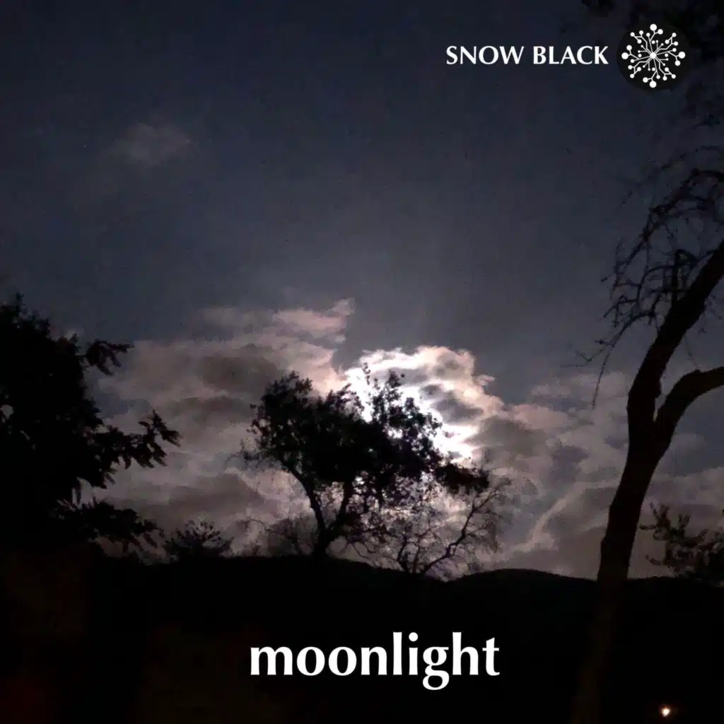 Moonlight