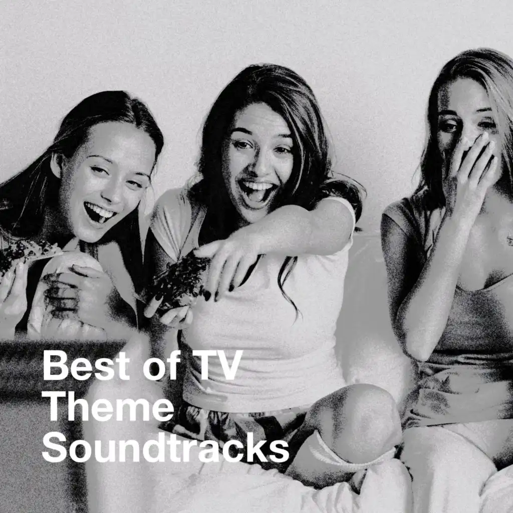 Best of Tv Theme Soundtracks