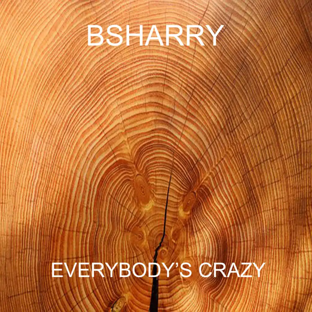 Everybody's Crazy (Radio Edit)