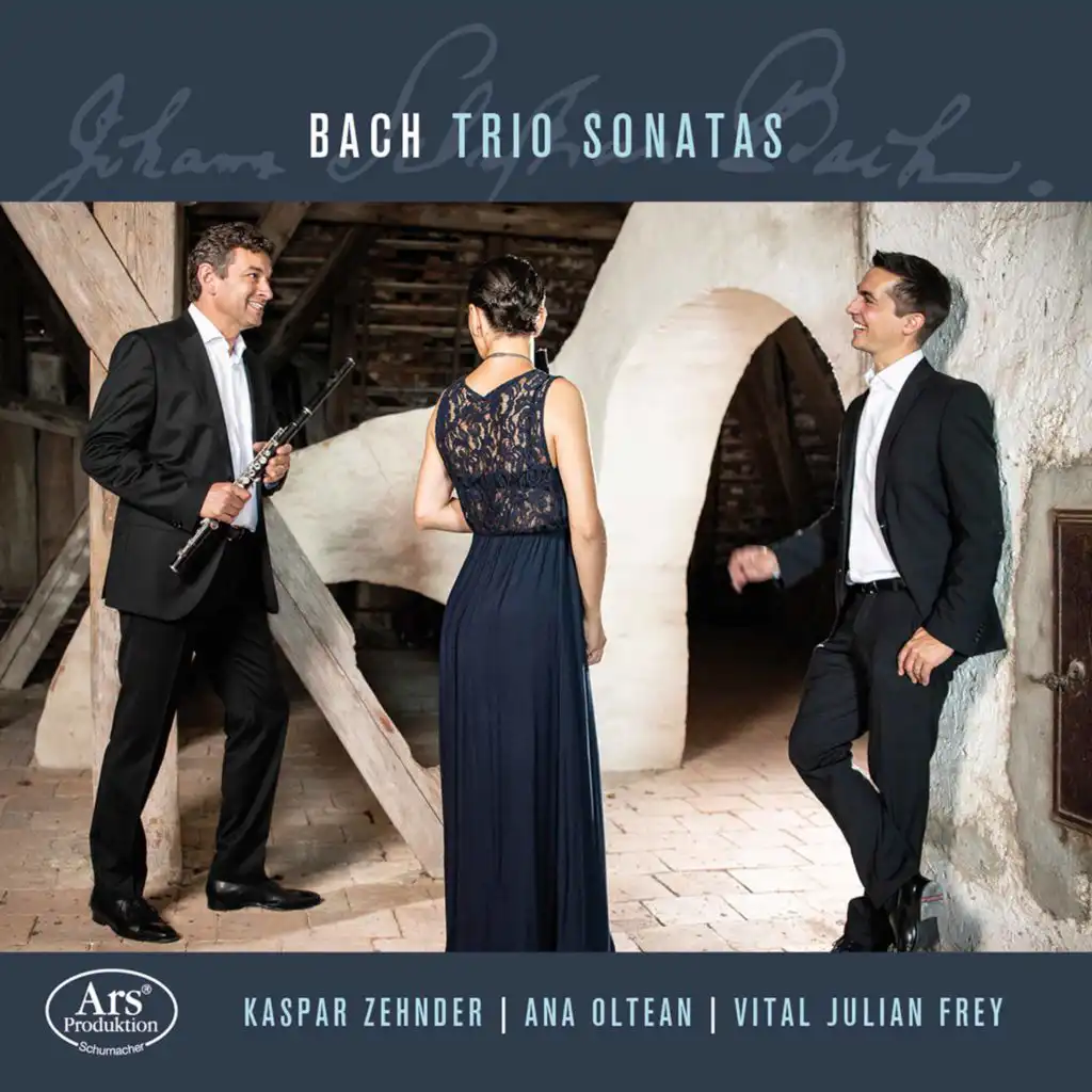 Trio Sonata in C Major, DürG 13 (Attrib. J.S. Bach's BWV 1037) [Arr. for 2 Flutes & Harpsichord]: II. Alla breve