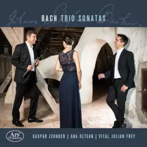 Trio Sonata in C Major, DürG 13 (Attrib. J.S. Bach's BWV 1037) [Arr. for 2 Flutes & Harpsichord]: I. Adagio