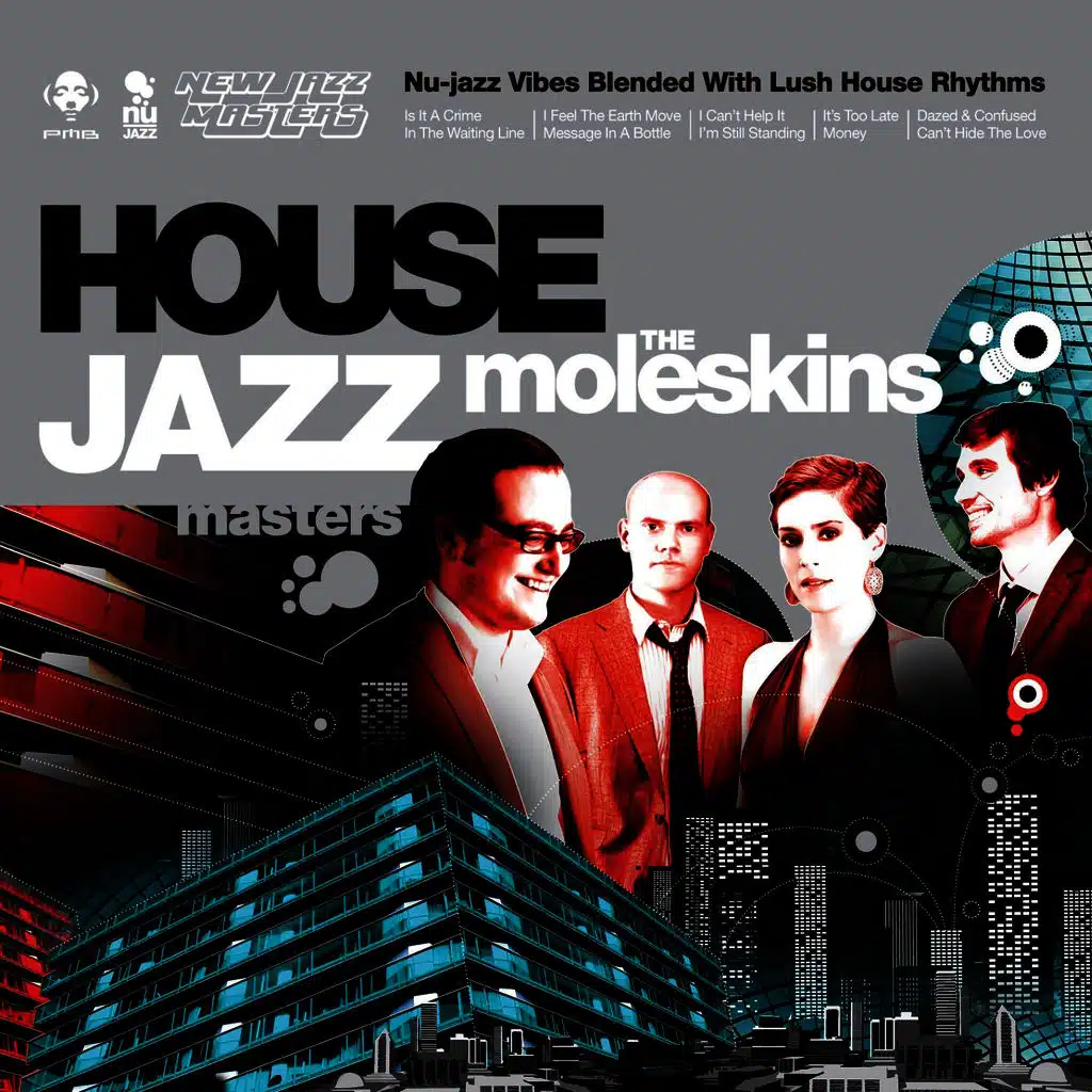 Is It A Crime (Album Mix)