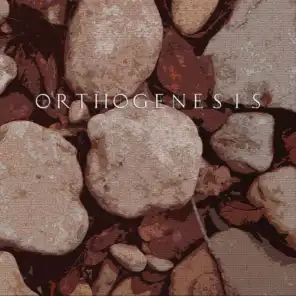 Orthogenesis - EP